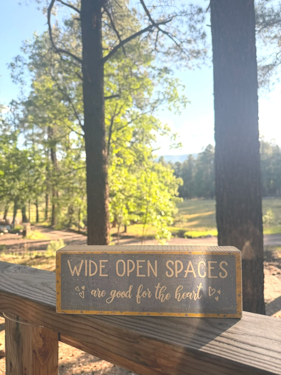moms cabin view