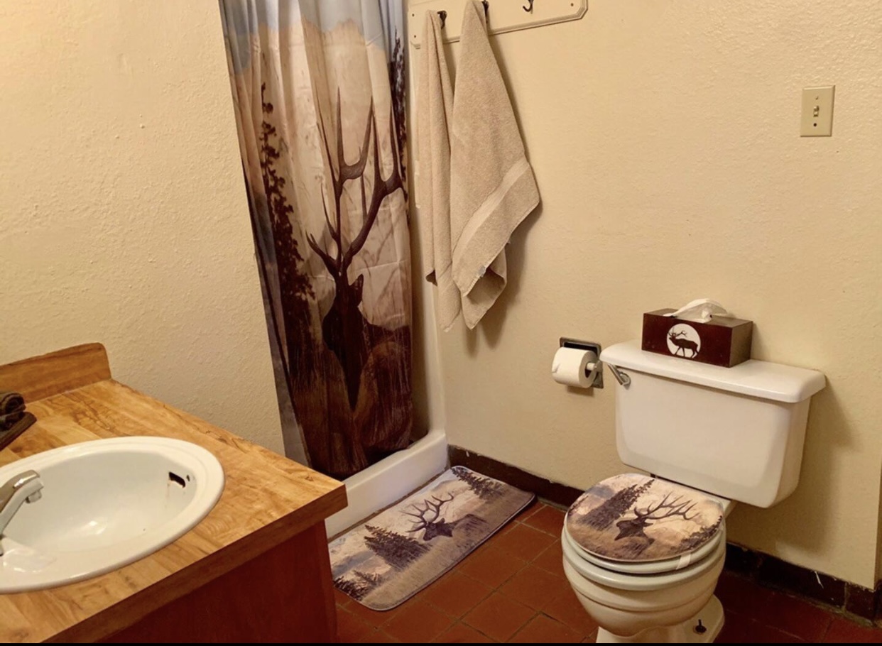 elk-a-seltzer bathroom